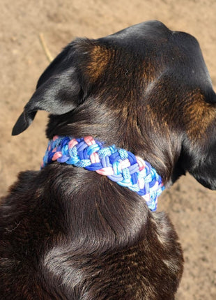 Handgemachtes Paracord-Hundehalsband Bubblegum