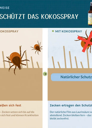 Kokos Spray Rumtreiber - sanfter Zeckenschutz für Katzen & Welpen