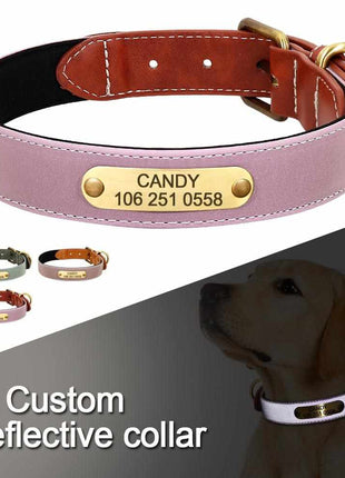 Wunderschönes Reflektions Hundehalsband mit Namen graviert