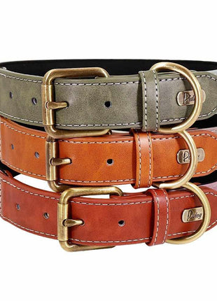 Wunderschönes Reflektions Hundehalsband mit Namen graviert