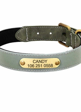 Wunderschönes Reflektions Hundehalsband mit Namen graviert