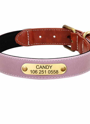 Wunderschönes Reflektions Hundehalsband mit Namen graviert