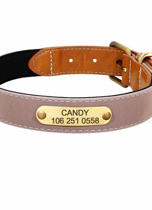 Wunderschönes Reflektions Hundehalsband mit Namen graviert