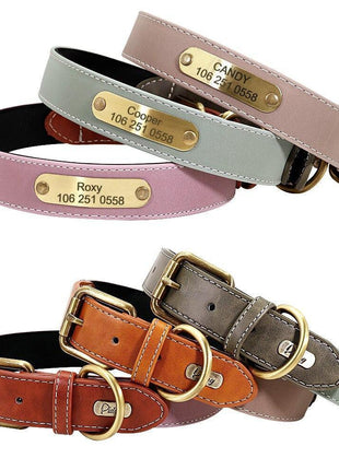 Wunderschönes Reflektions Hundehalsband mit Namen graviert