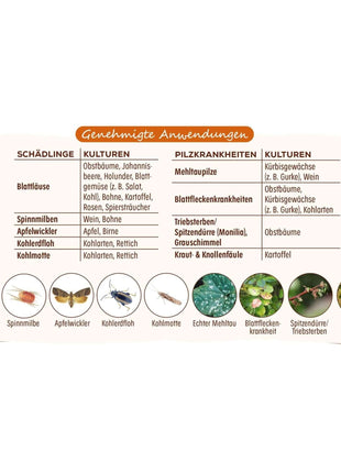 Solabiol Grundstoff Urtica Spray 1 L 2-in-1 Pilzkrankheiten Schadinsekten