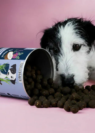 Z-Snack - Gesunder natürlicher Schutz von Tierliebhaber