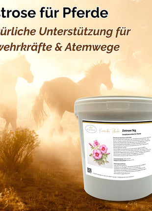 Zistrose Pferd 1kg