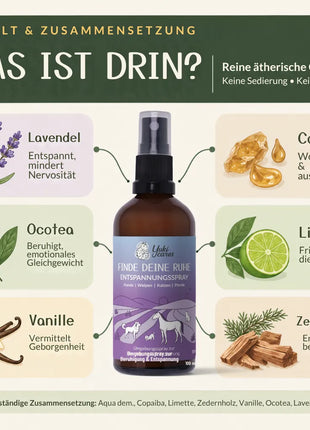 Entspannungsspray Finde deine Ruhe 100ml