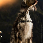 Schwarz (19 mm) - Breite wie Größe S / STURMFREI® - BioThane® Vorder- und Bauchgurt / Ohne