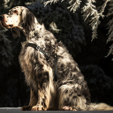 Anti-Stress-Geschirr STURMFREI®, Größe M