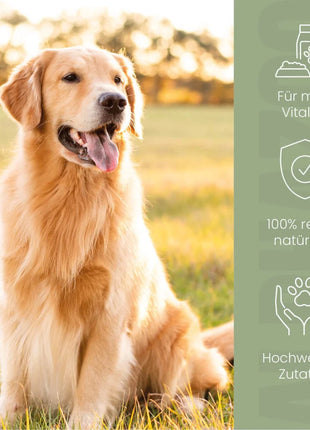 Alpha-Immun Futteröl für Hunde