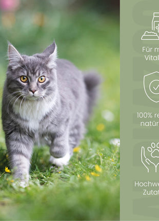 Alpha-Immun Futteröl für Katzen