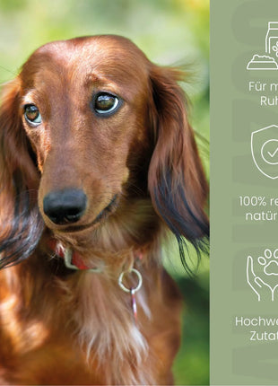 Alpha-Zegg Futteröl für Hunde