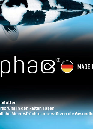 alpha ice - Sinkendes Koi-Winterfutter