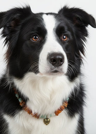 Dog amber necklace with jade, length 41cm
