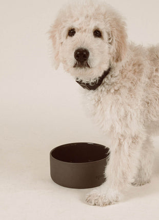 Ceramic Bowl