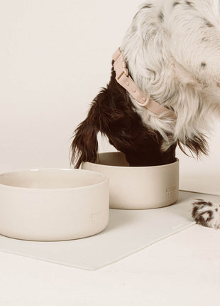 Ceramic Bowl