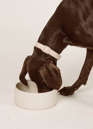 Ceramic Bowl