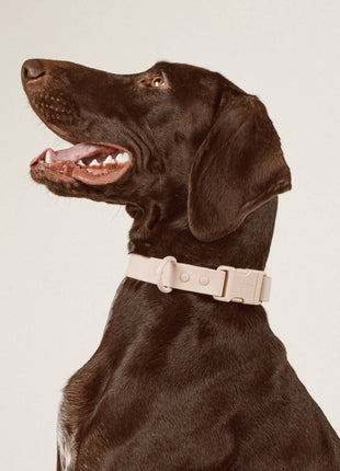Halsband 'Ease'