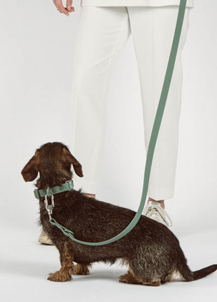 Collar Set