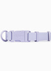 Lavender / M