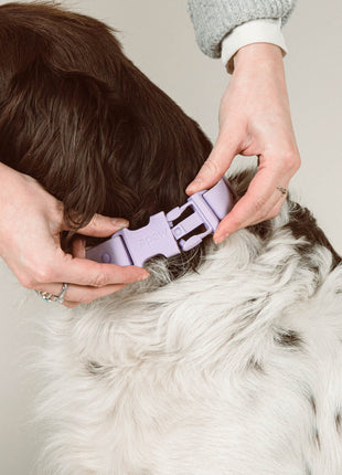 Halsband 'Ease'