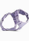 Lavender / M