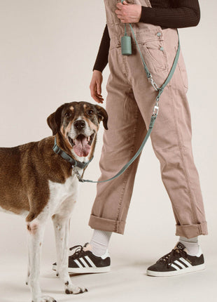 Walk Set