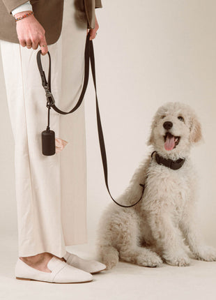 Poop Bag Carrier Set