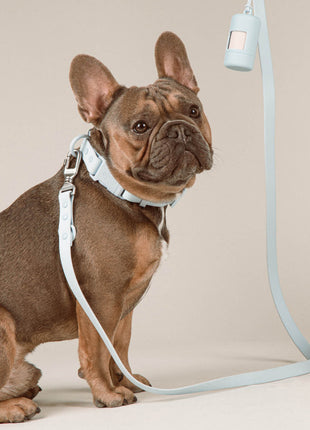 Poop Bag Carrier Set