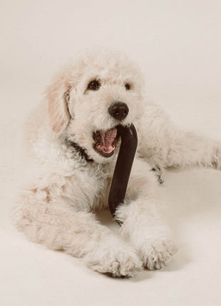 Rubber Bone