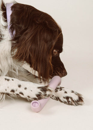 Rubber Bone