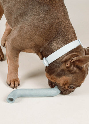 Rubber Bone