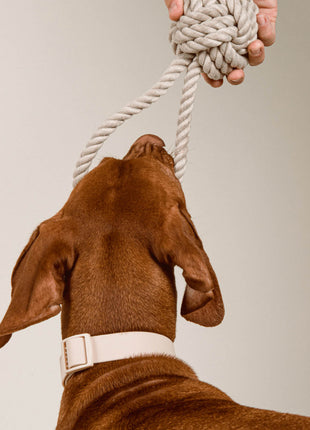 Twisted Rope Toy