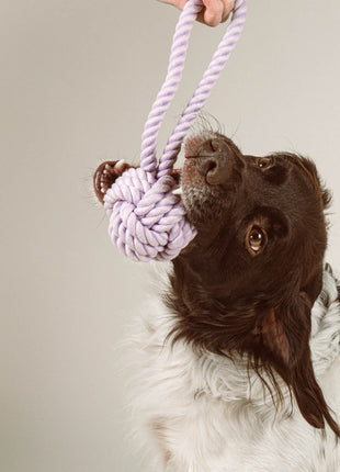 Twisted Rope Toy