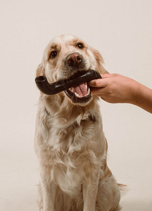 Rubber Bone