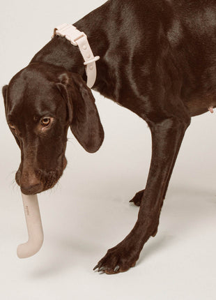 Rubber Bone