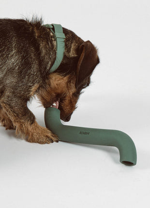 Rubber Bone