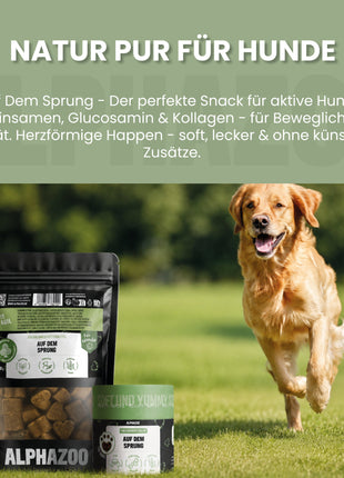 Auf Dem Sprung