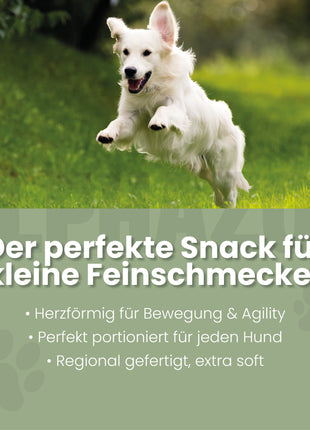 Auf Dem Sprung