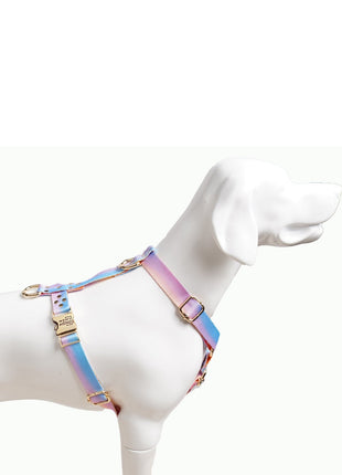 Hundegeschirr Aurora