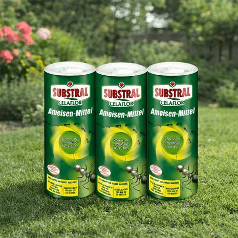 SUBSTRAL® Celaflor® Ameisen-Mittel 3 Stück