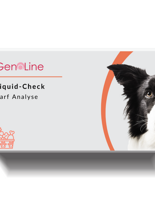 Barf-Test Hund