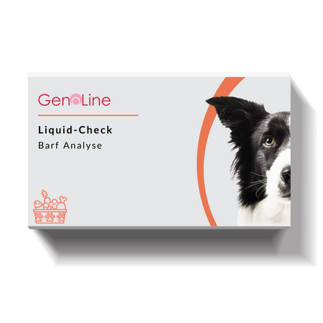 Barf-Test Hund