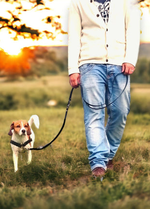 Anti-Stress-Geschirr STURMFREI® Saver für kleine bis mittlere Hunde