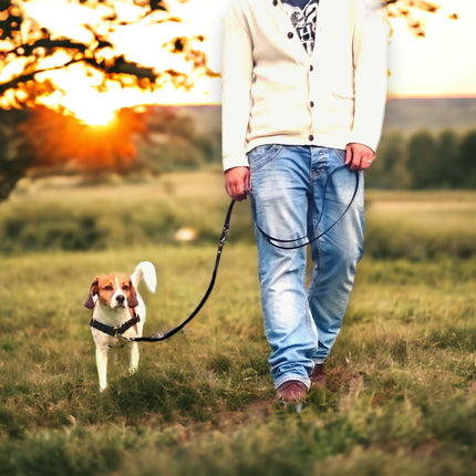 Anti-Stress-Geschirr STURMFREI® Saver für kleine bis mittlere Hunde