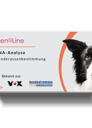 DNA Hunderassenbestimmung