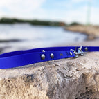 Blau / BioThane® / 19 mm (ab 9 kg)