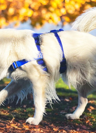 Anti-Stress-Geschirr STURMFREI® Saver für kleine bis mittlere Hunde