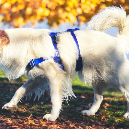 Anti-Stress-Geschirr STURMFREI® Saver für kleine bis mittlere Hunde